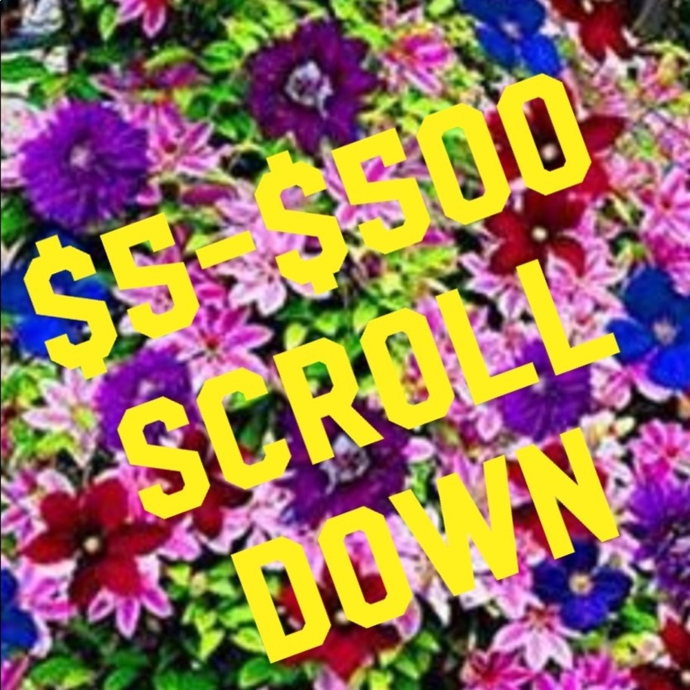 Scroll Down Send Offer - image 1